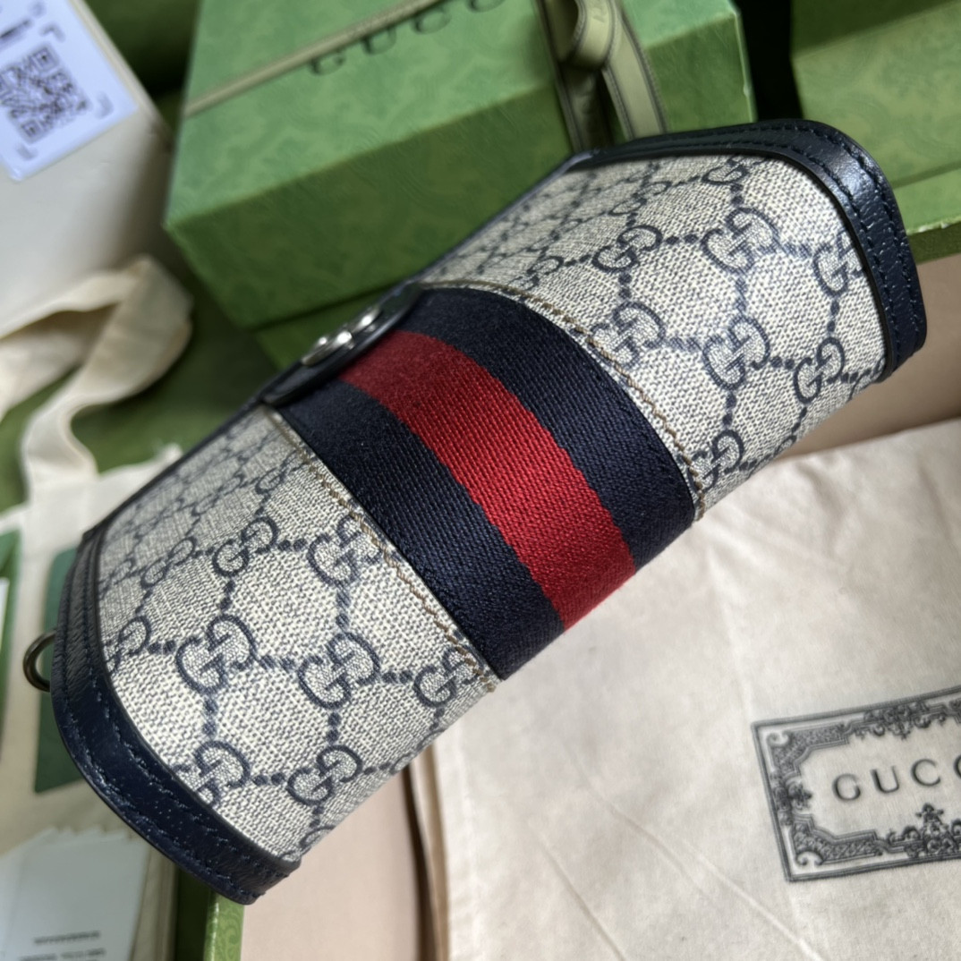Gucci Ophidia Bag