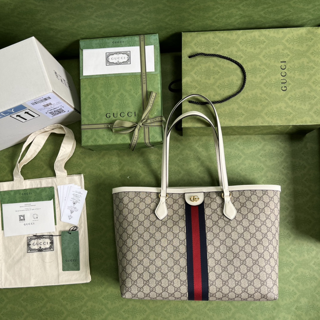 Gucci Ophidia Bag