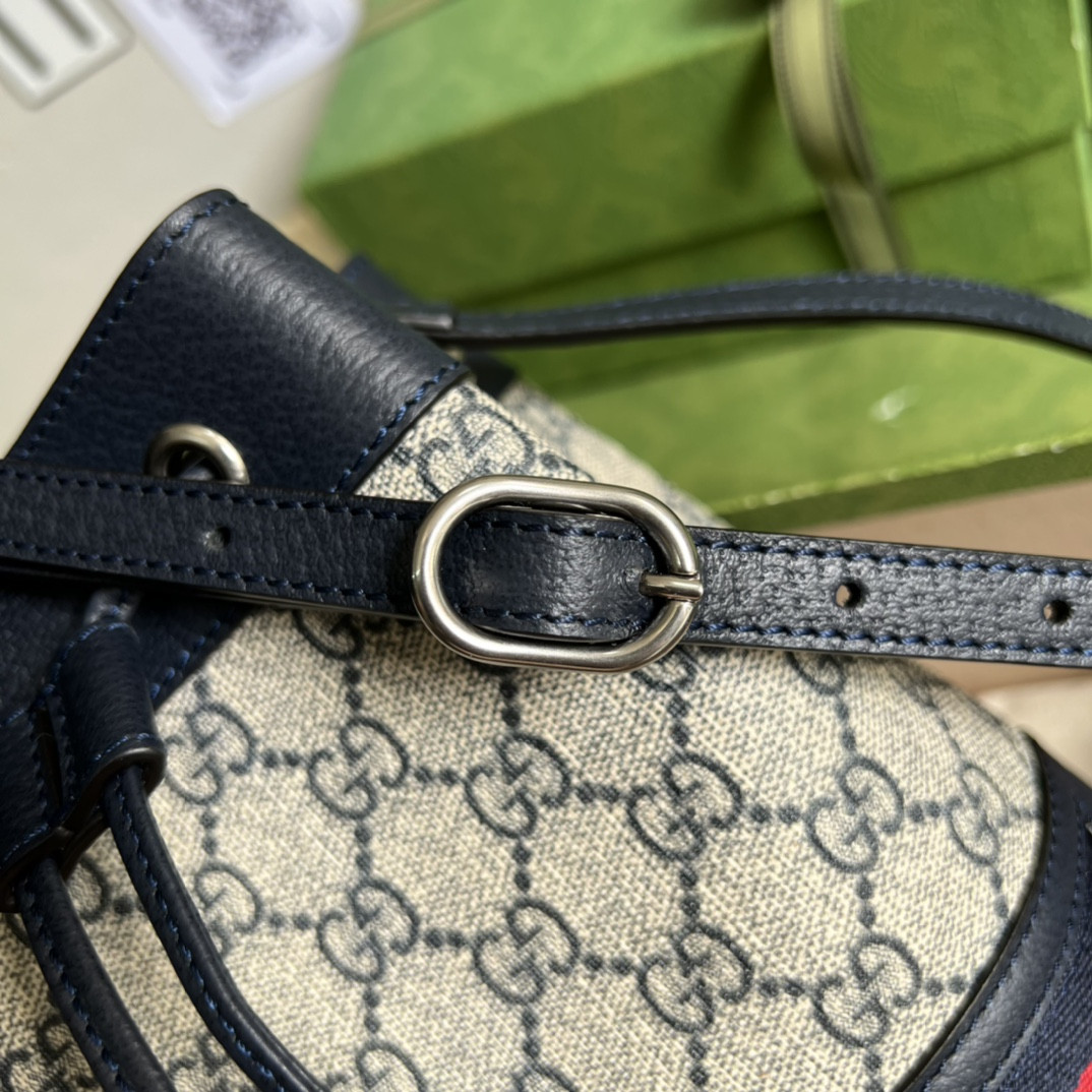 Gucci Ophidia Bag