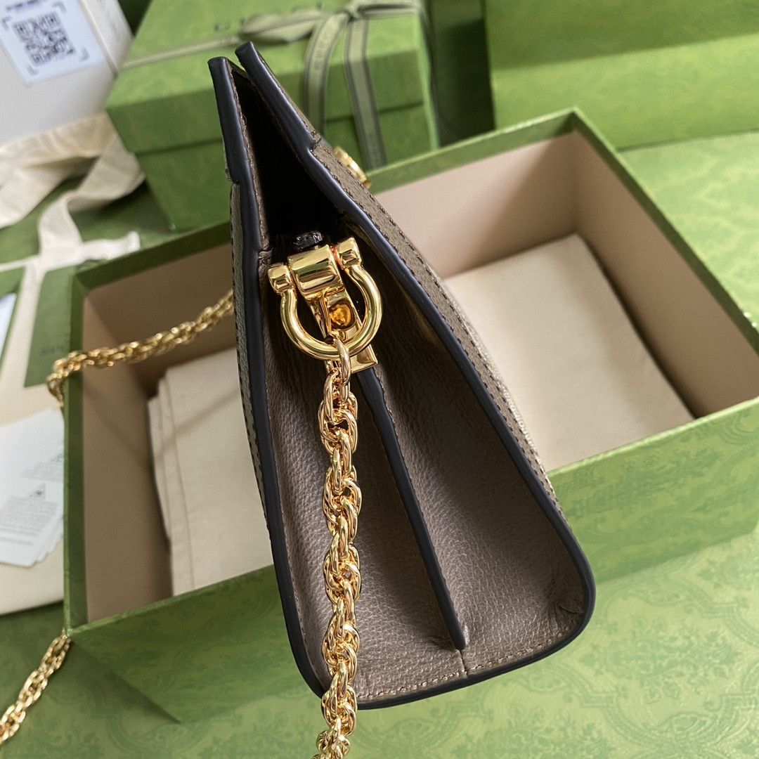 Gucci Ophidia Bag