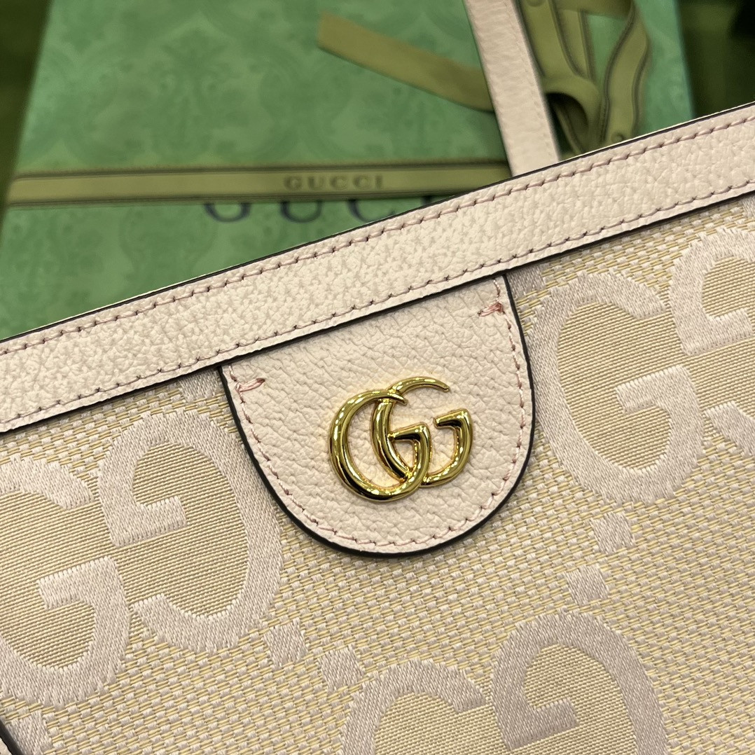 Gucci Ophidia Bag