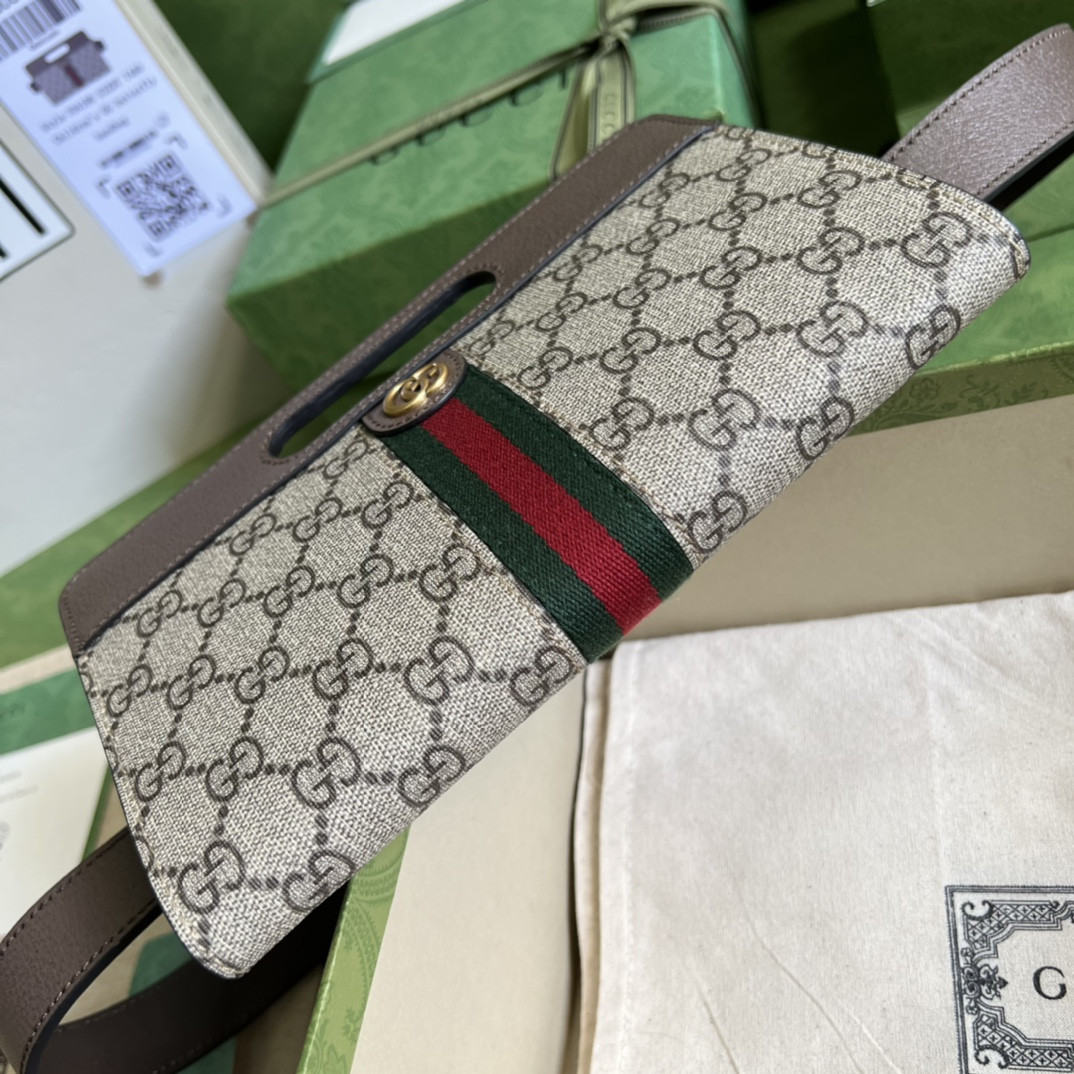 Gucci Ophidia Bag