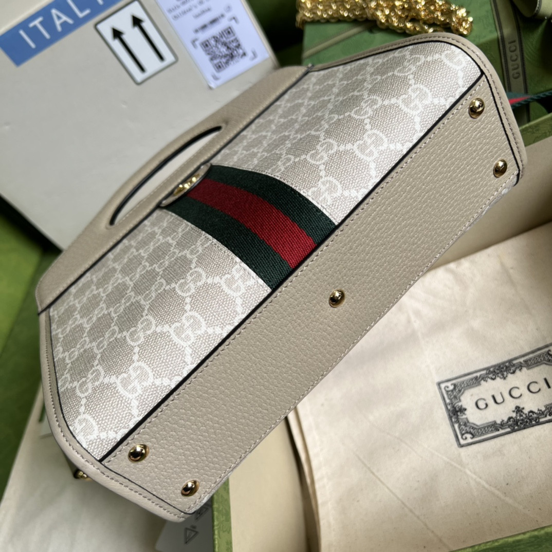 Gucci Ophidia Bag