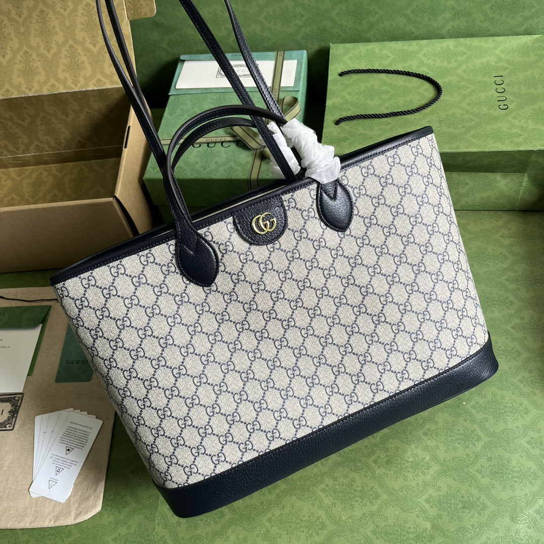 Gucci Ophidia Bag