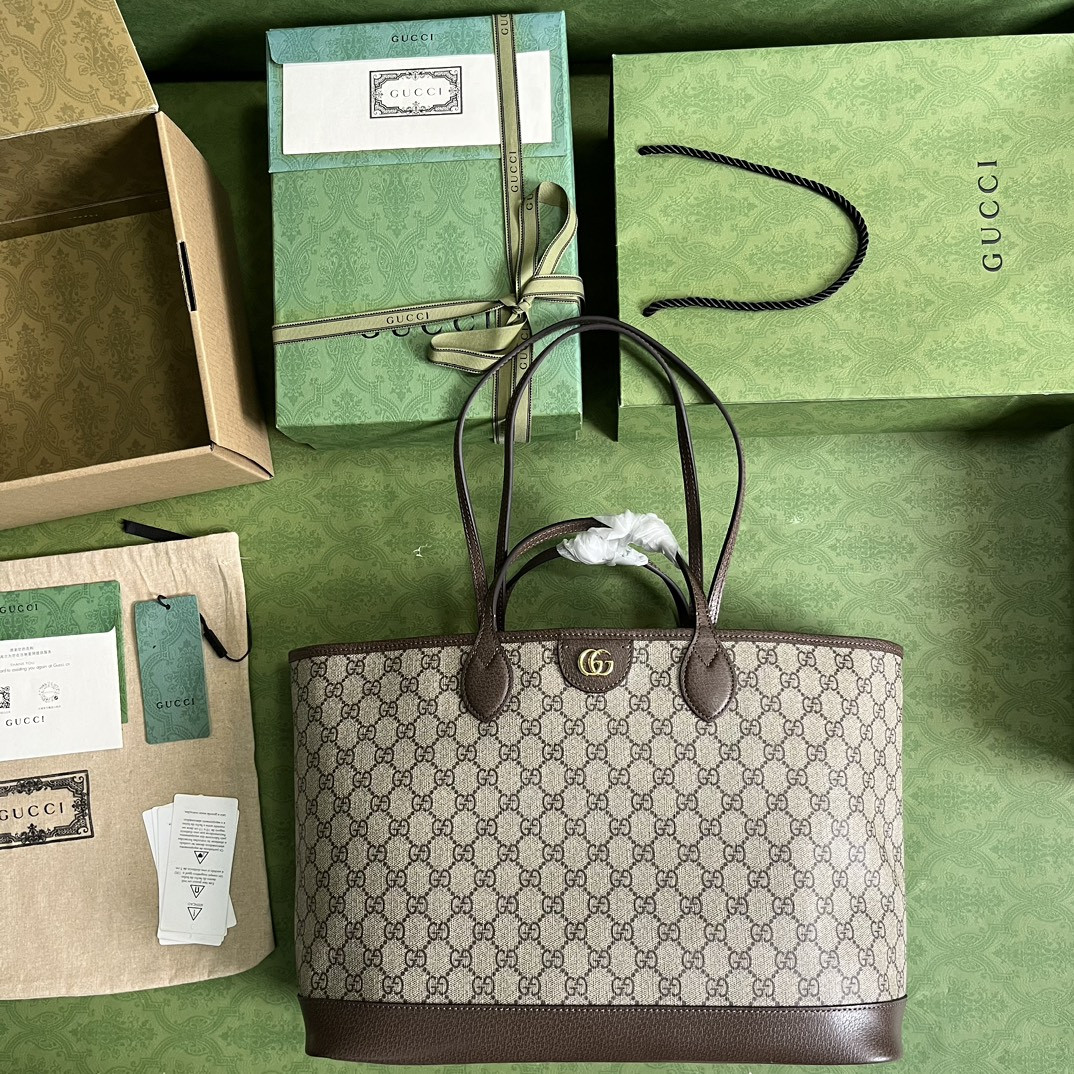 Gucci Ophidia Bag