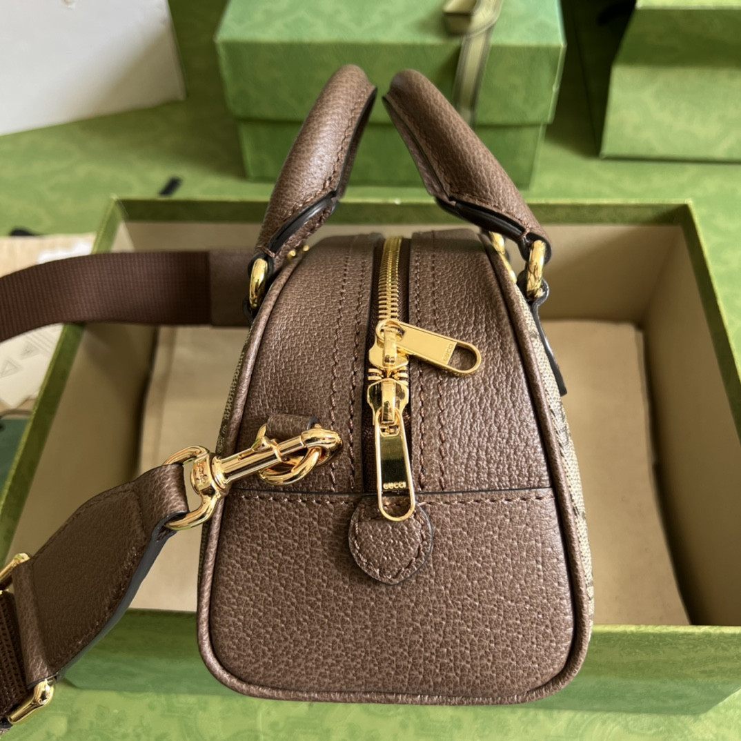 Gucci Ophidia Bag