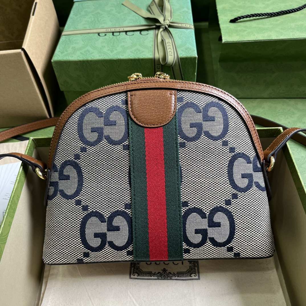 Gucci Ophidia Bag