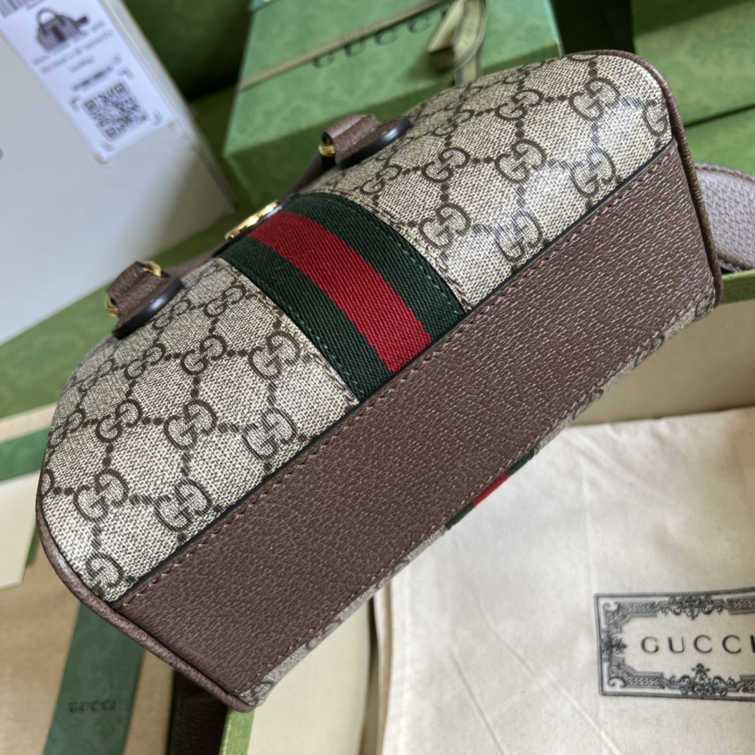 Gucci Ophidia Bag