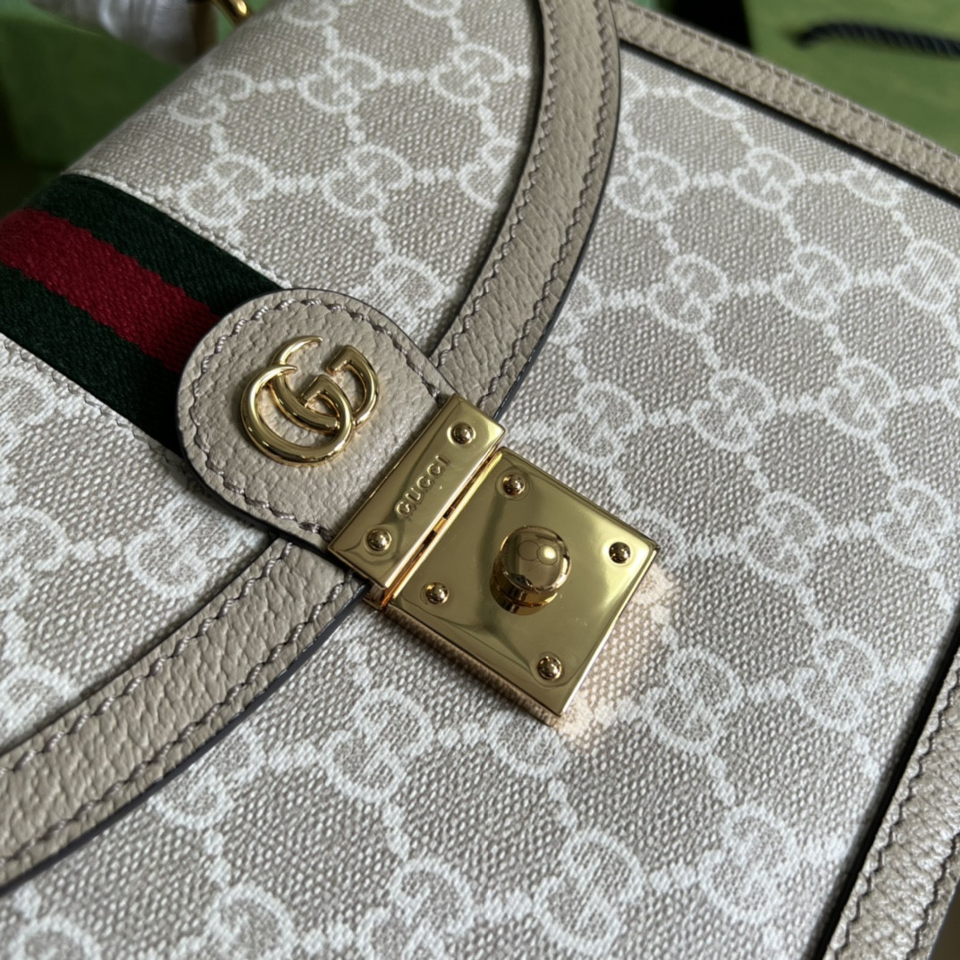 Gucci Ophidia Bag