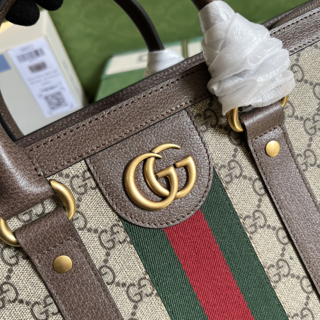 Gucci Ophidia Bag