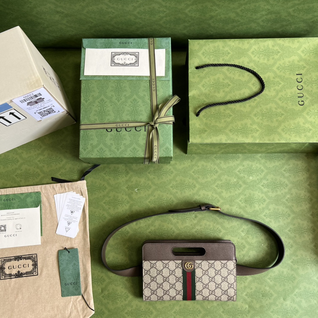 Gucci Ophidia Bag