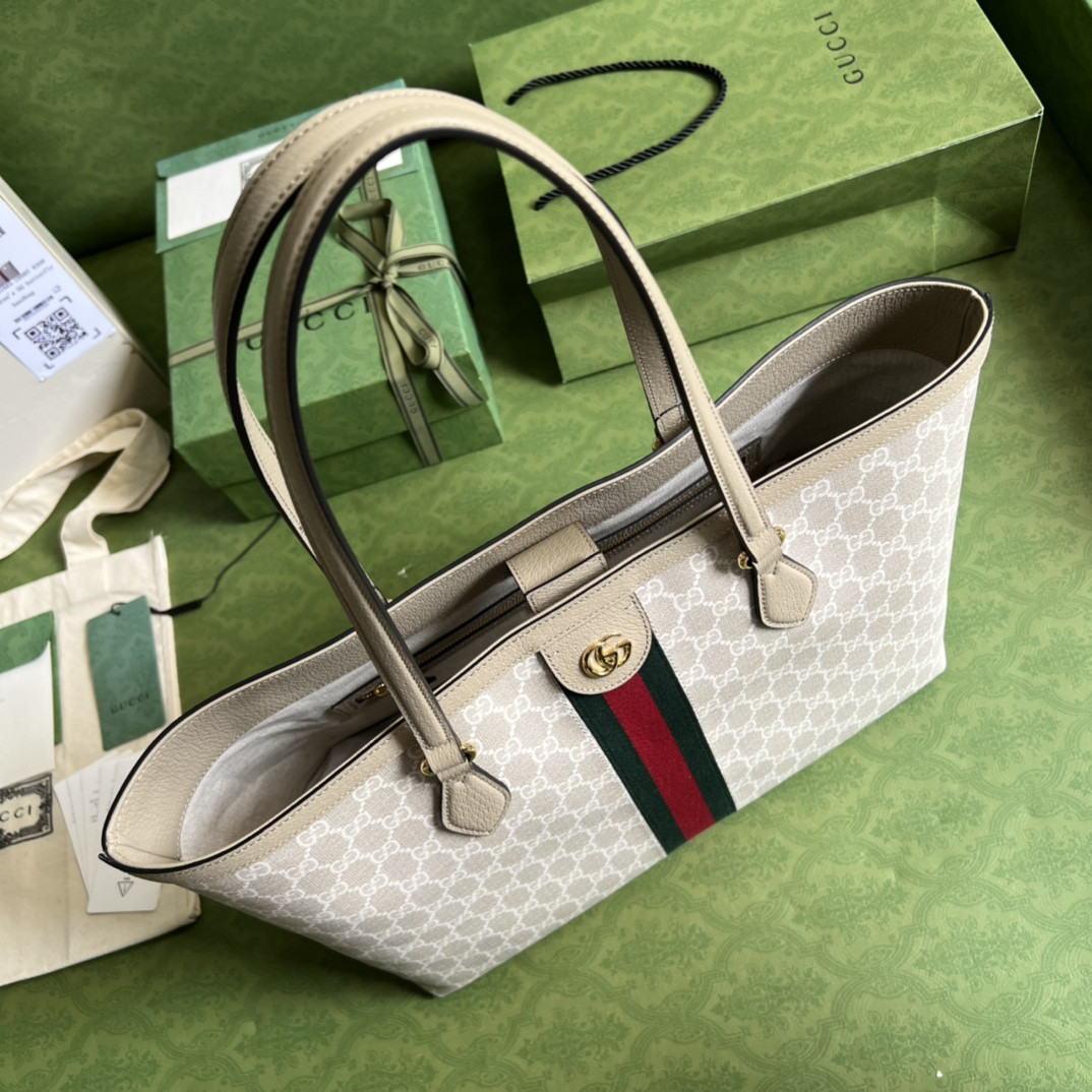Gucci Ophidia Bag