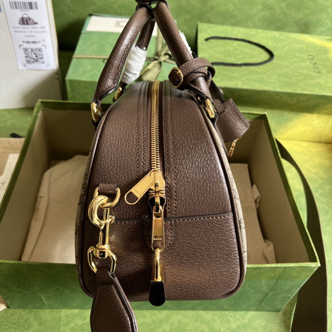 Gucci Ophidia Bag