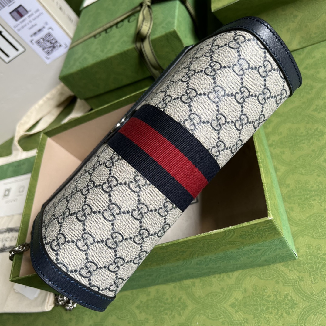 Gucci Ophidia Bag