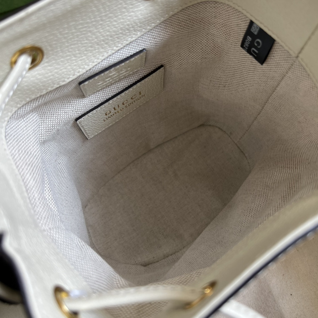 Gucci Ophidia Bag