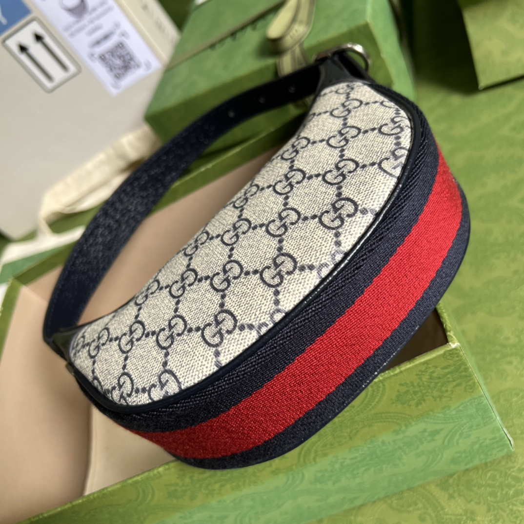 Gucci Ophidia Bag