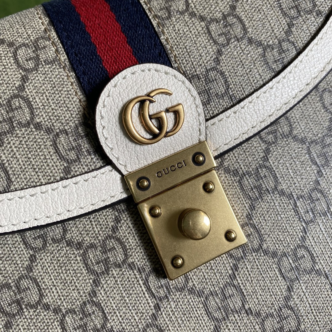 Gucci Ophidia Bag