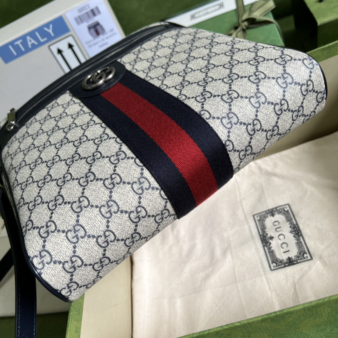 Gucci Ophidia Bag