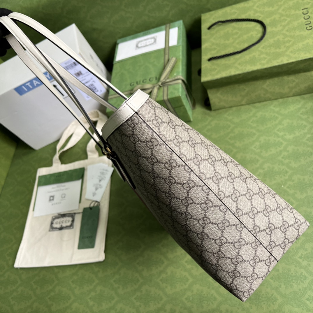 Gucci Ophidia Bag