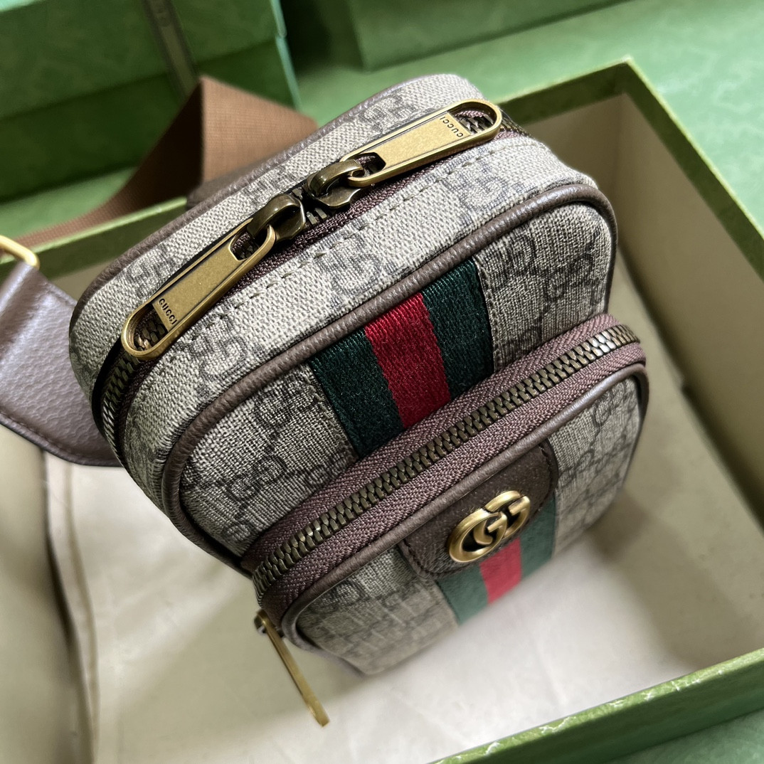 Gucci Ophidia Bag