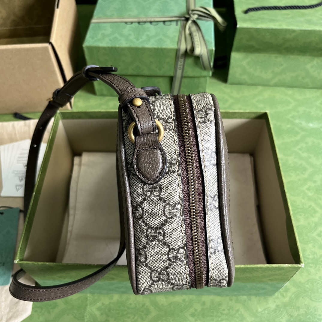 Gucci Ophidia Bag