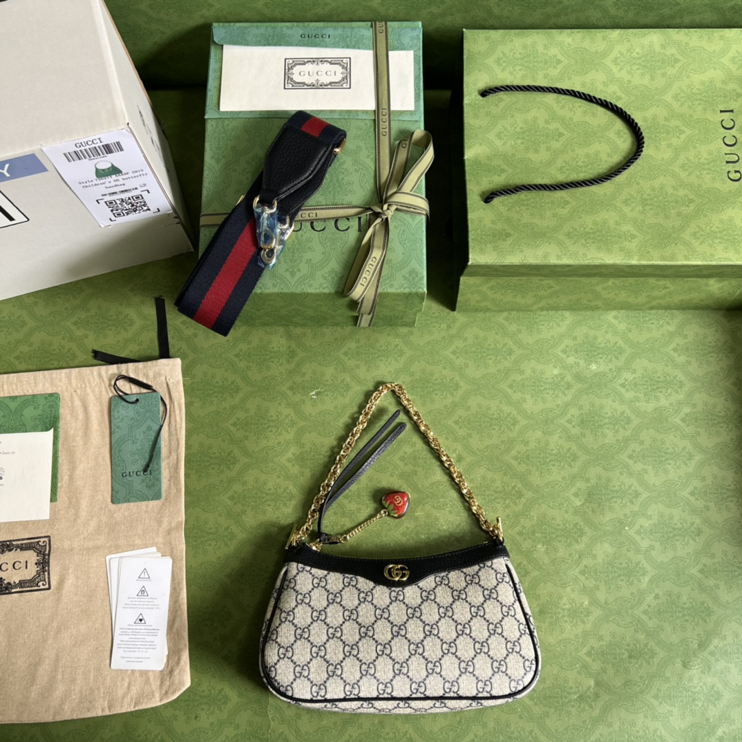 Gucci Ophidia Bag