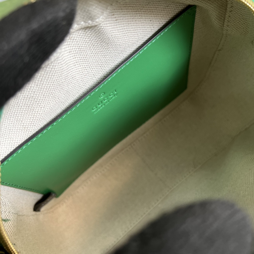 Gucci Ophidia Bag