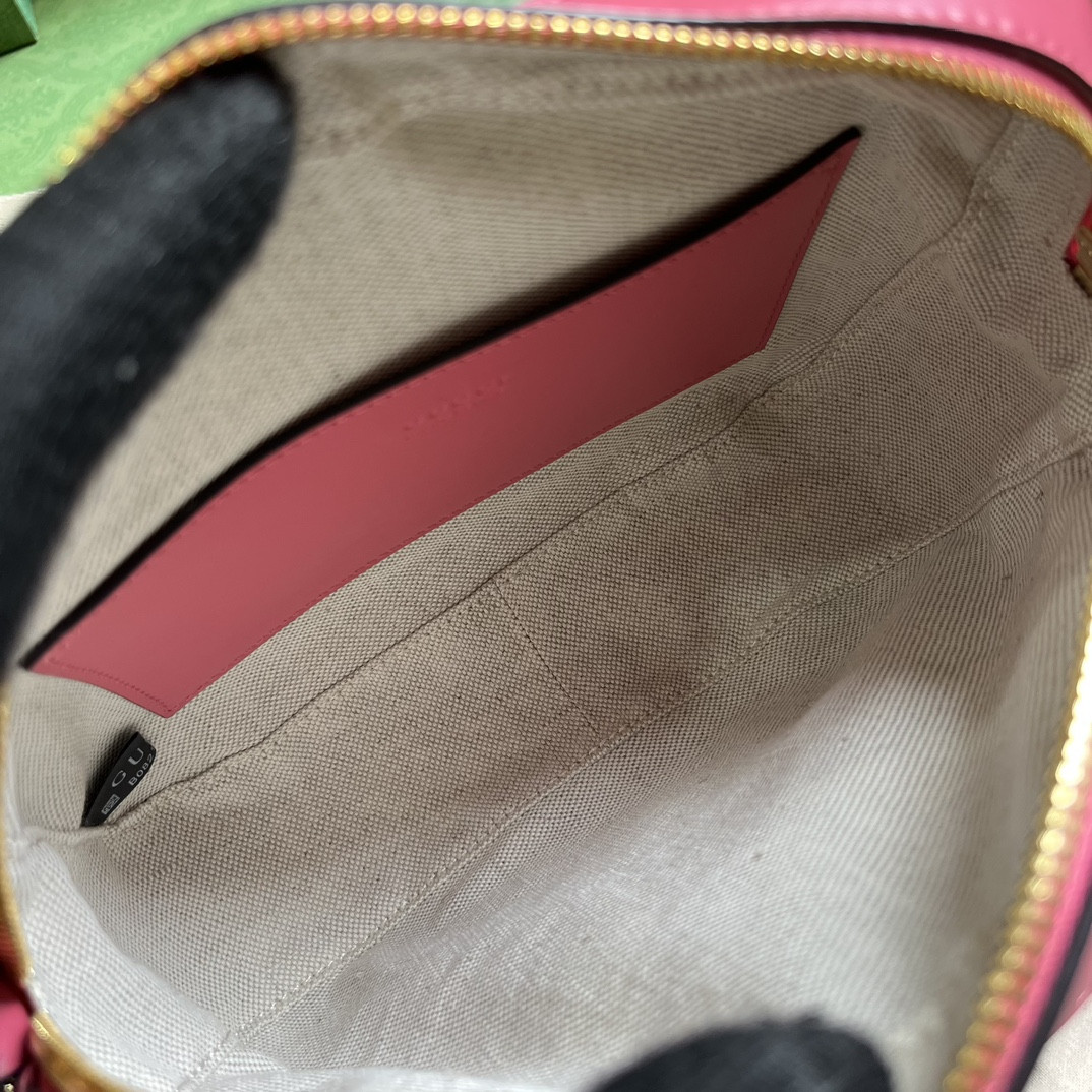 Gucci Ophidia Bag