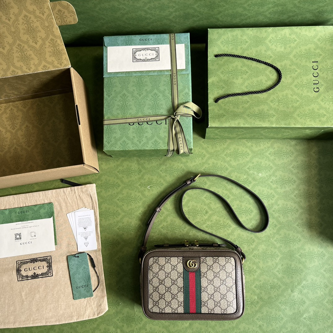 Gucci Ophidia Bag