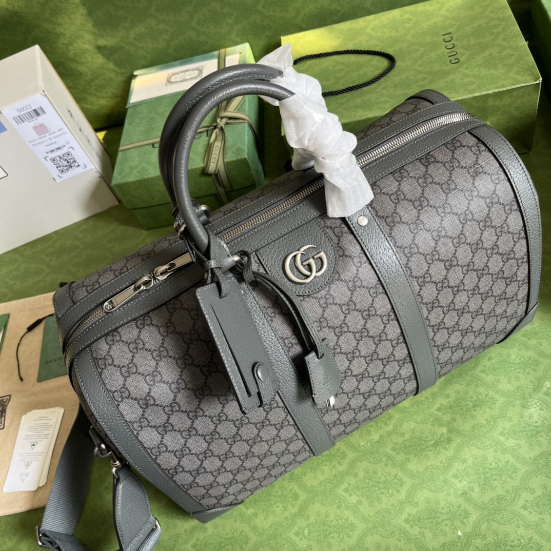 Gucci Ophidia Bag