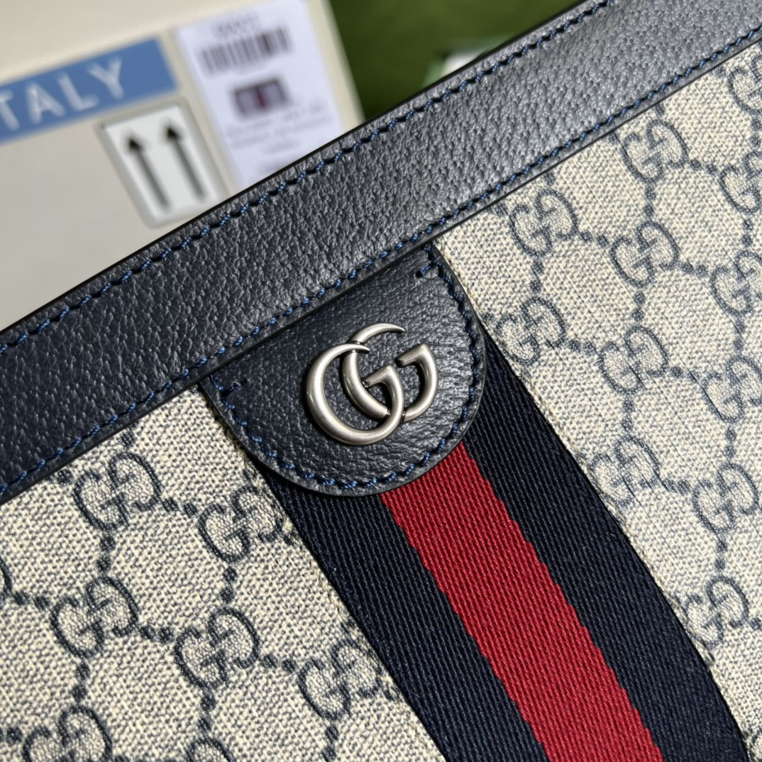 Gucci Ophidia Bag