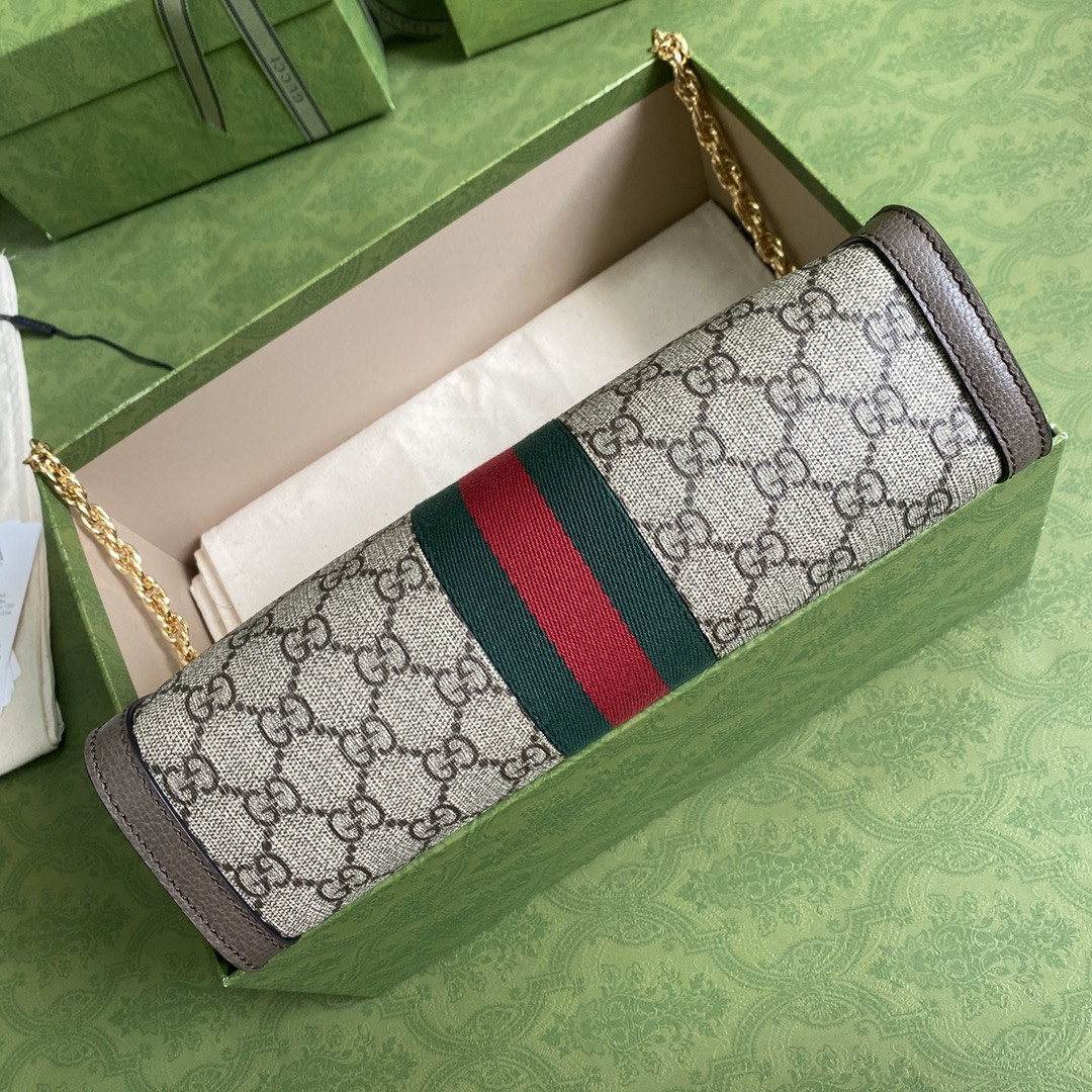 Gucci Ophidia Bag