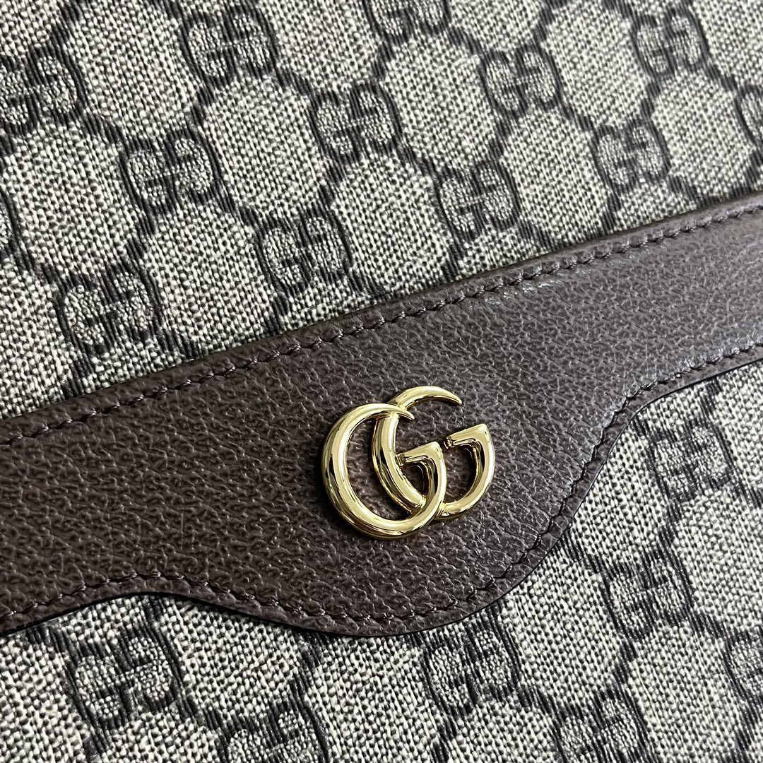 Gucci Ophidia Bag