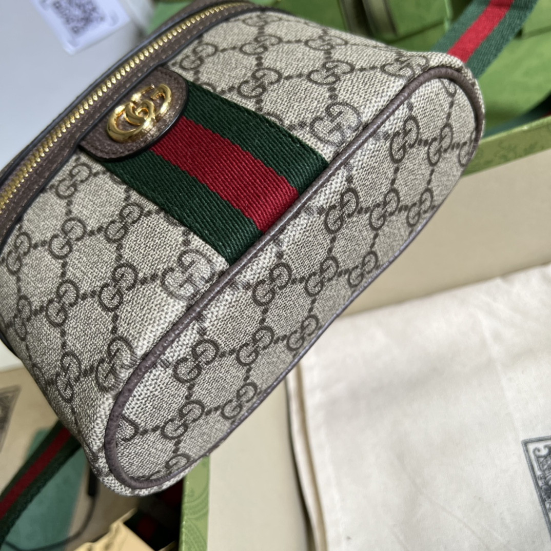 Gucci Ophidia Bag