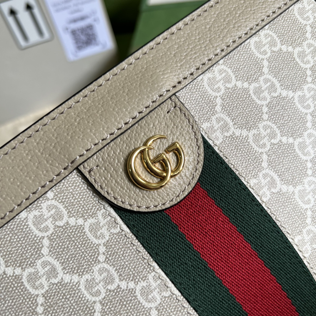 Gucci Ophidia Bag