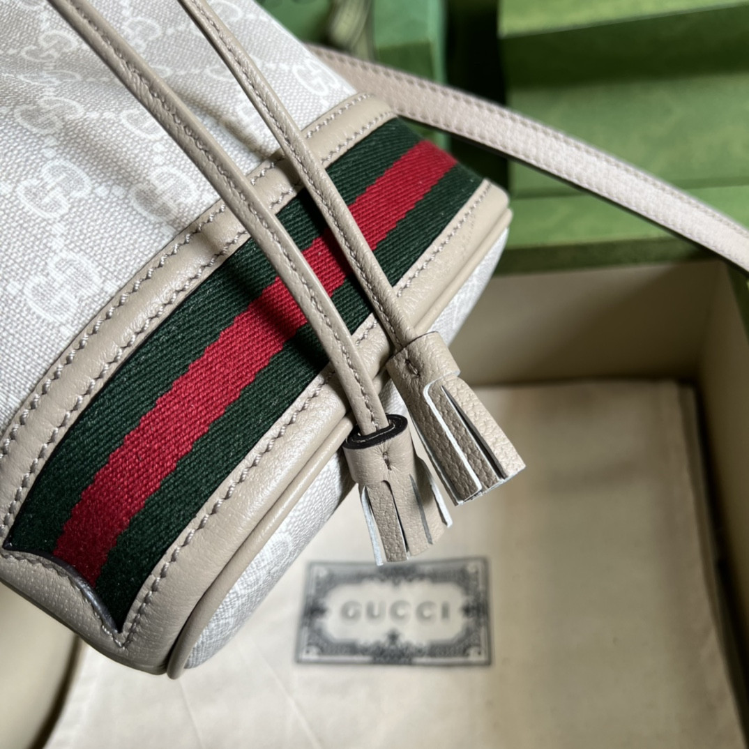 Gucci Ophidia Bag