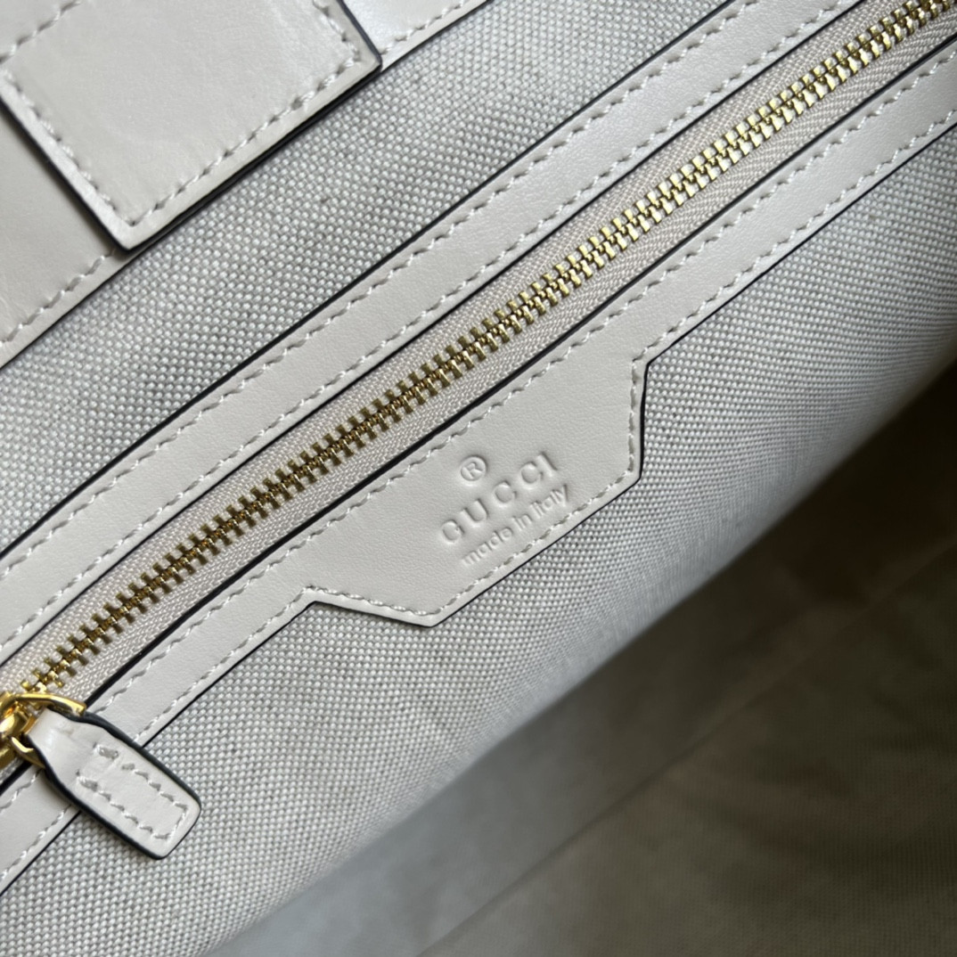 Gucci Ophidia Bag