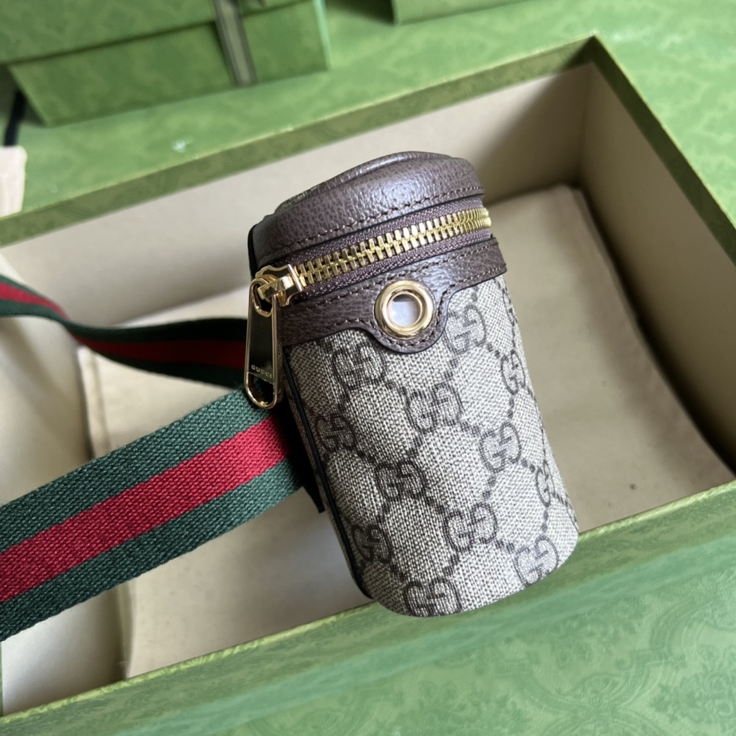 Gucci Ophidia Bag