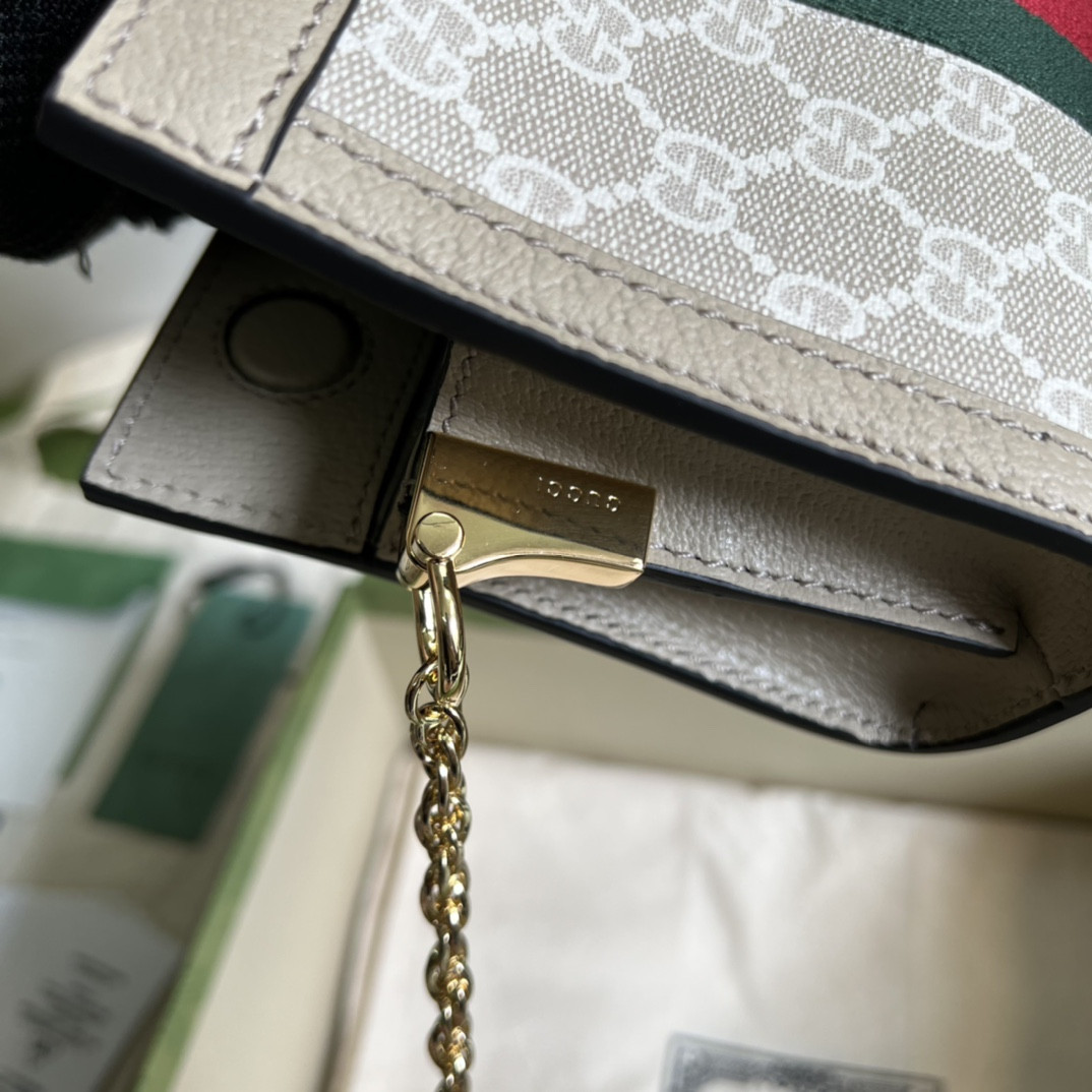 Gucci Ophidia Bag