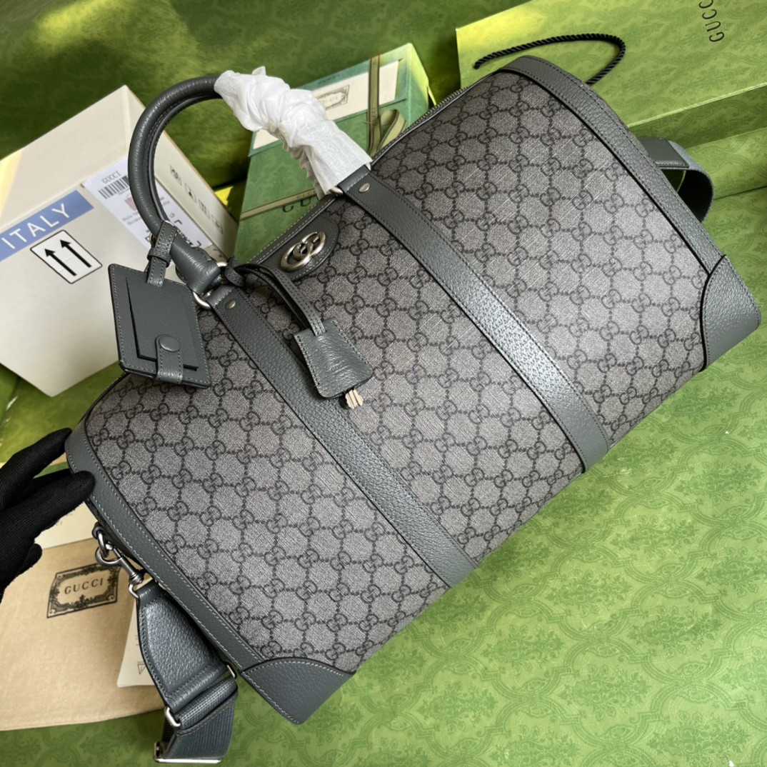 Gucci Ophidia Bag