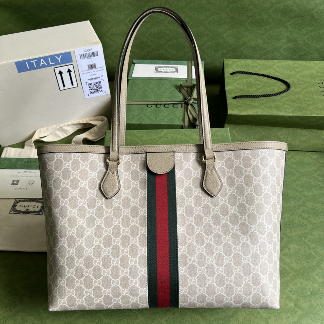 Gucci Ophidia Bag