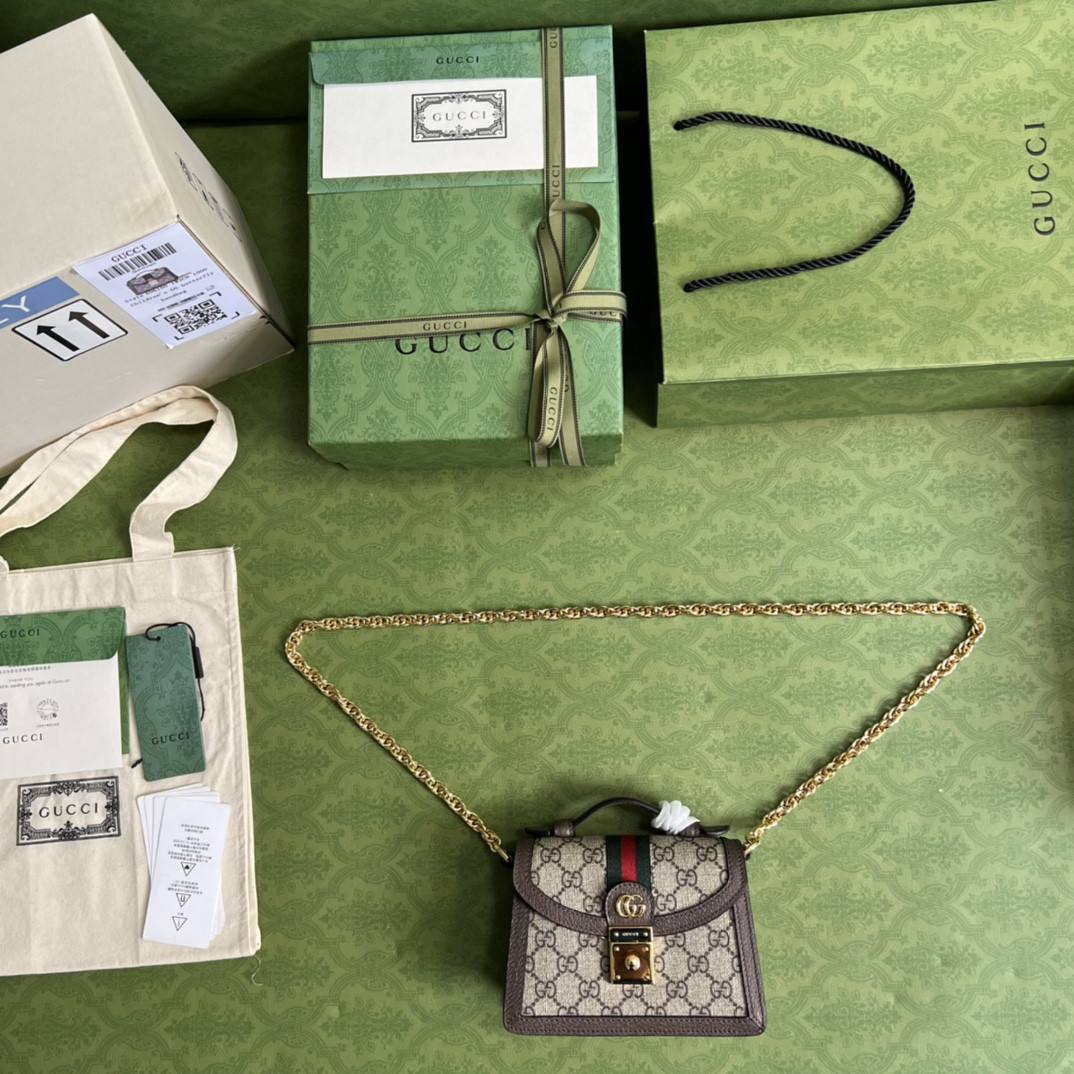 Gucci Ophidia Bag