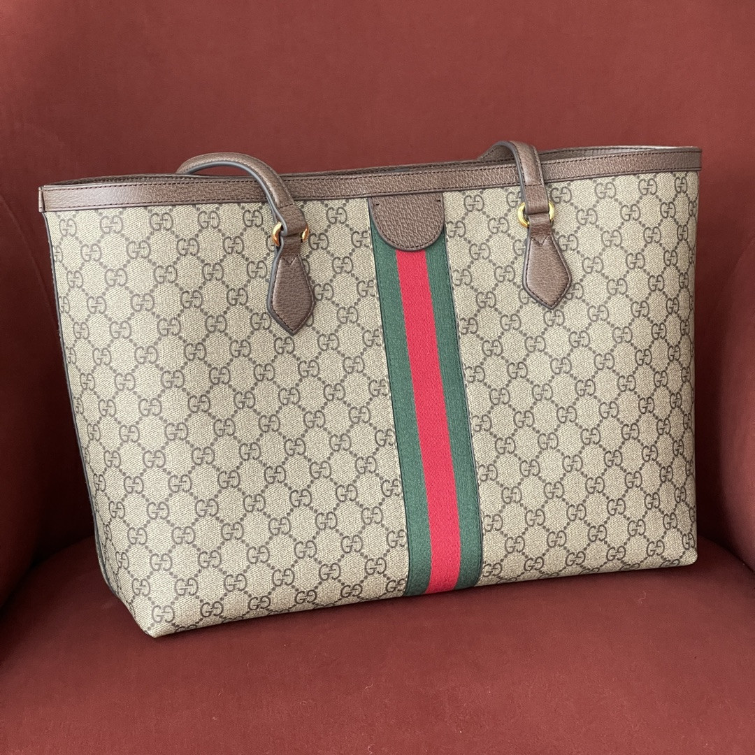 Gucci Ophidia Bag