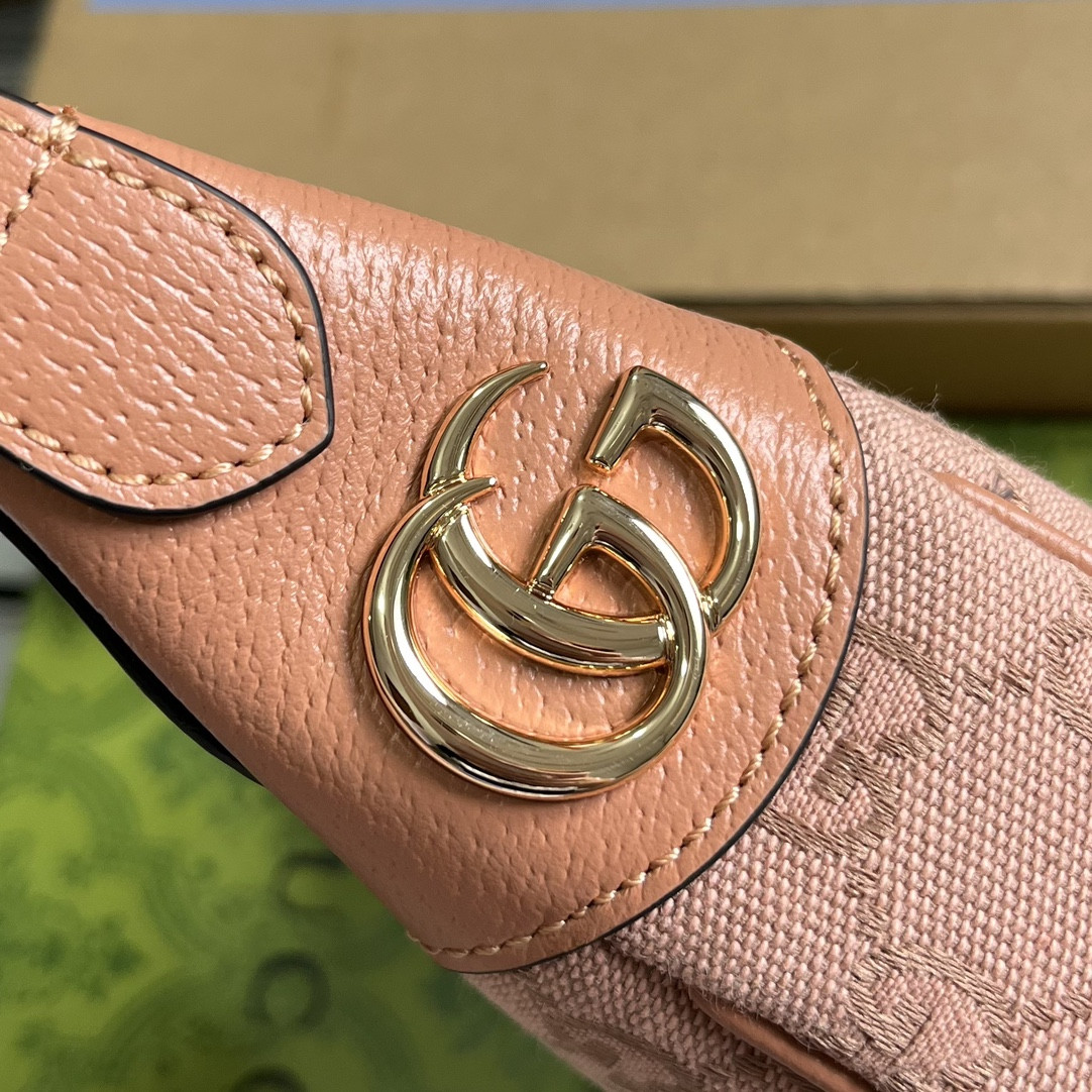 Gucci Ophidia Bag