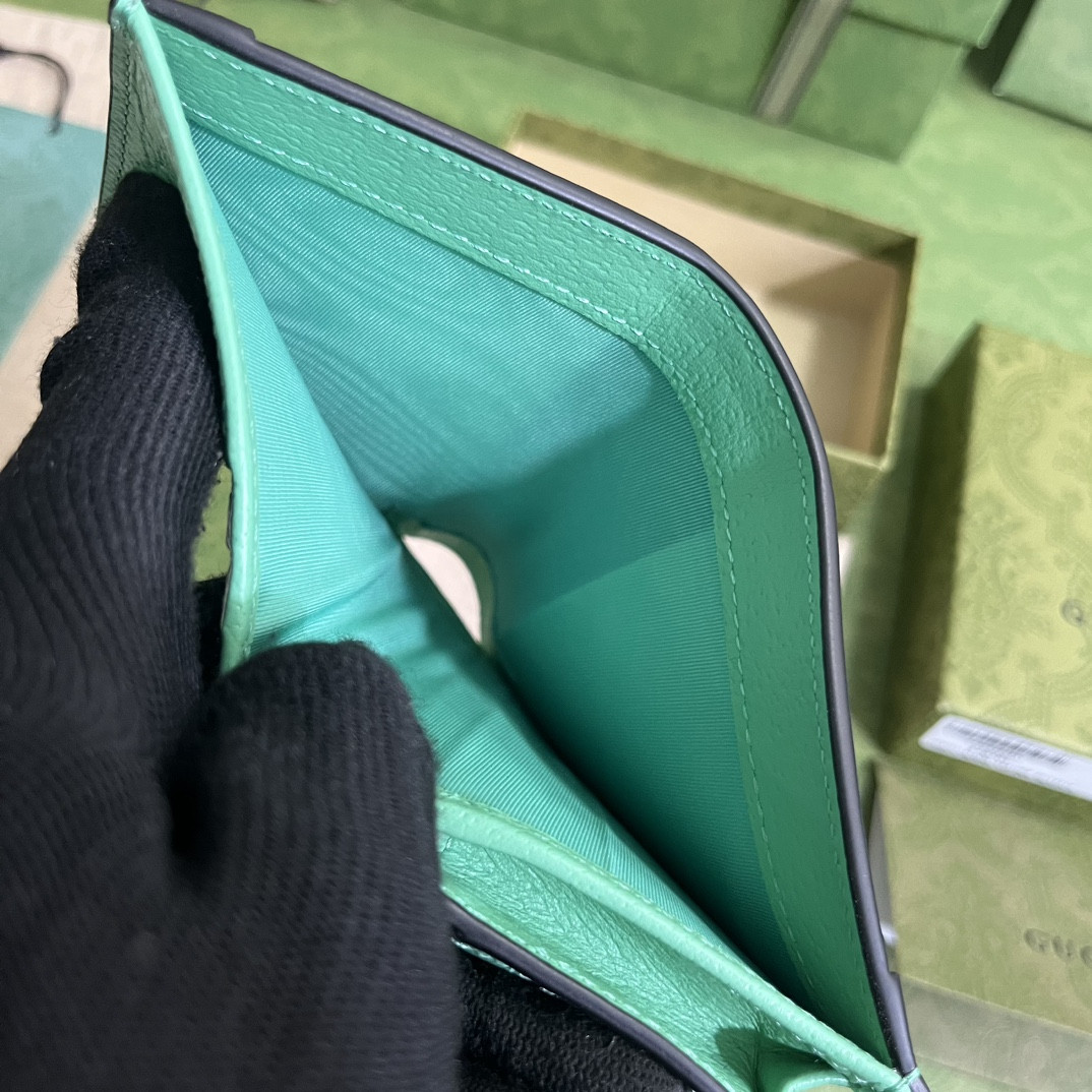 Gucci Ophidia Bag