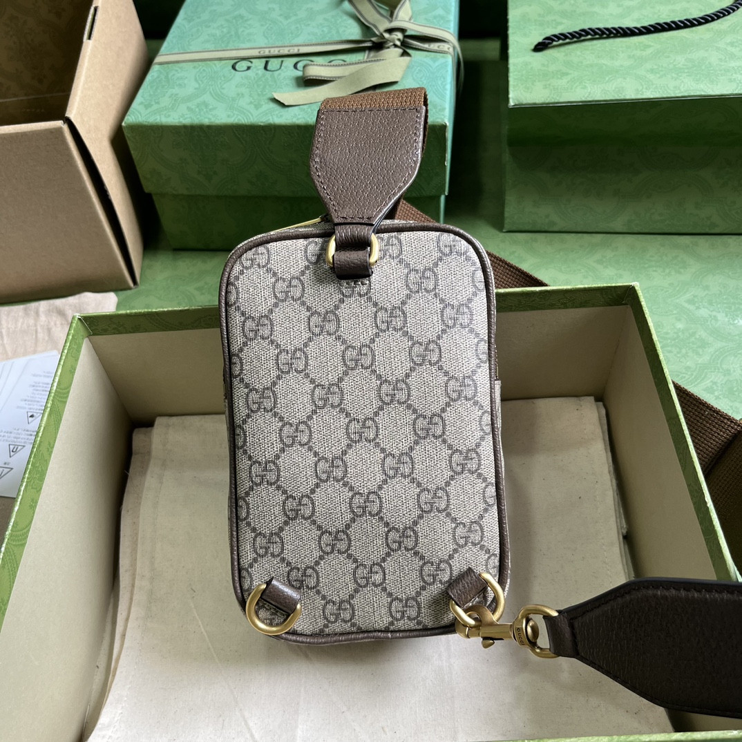 Gucci Ophidia Bag