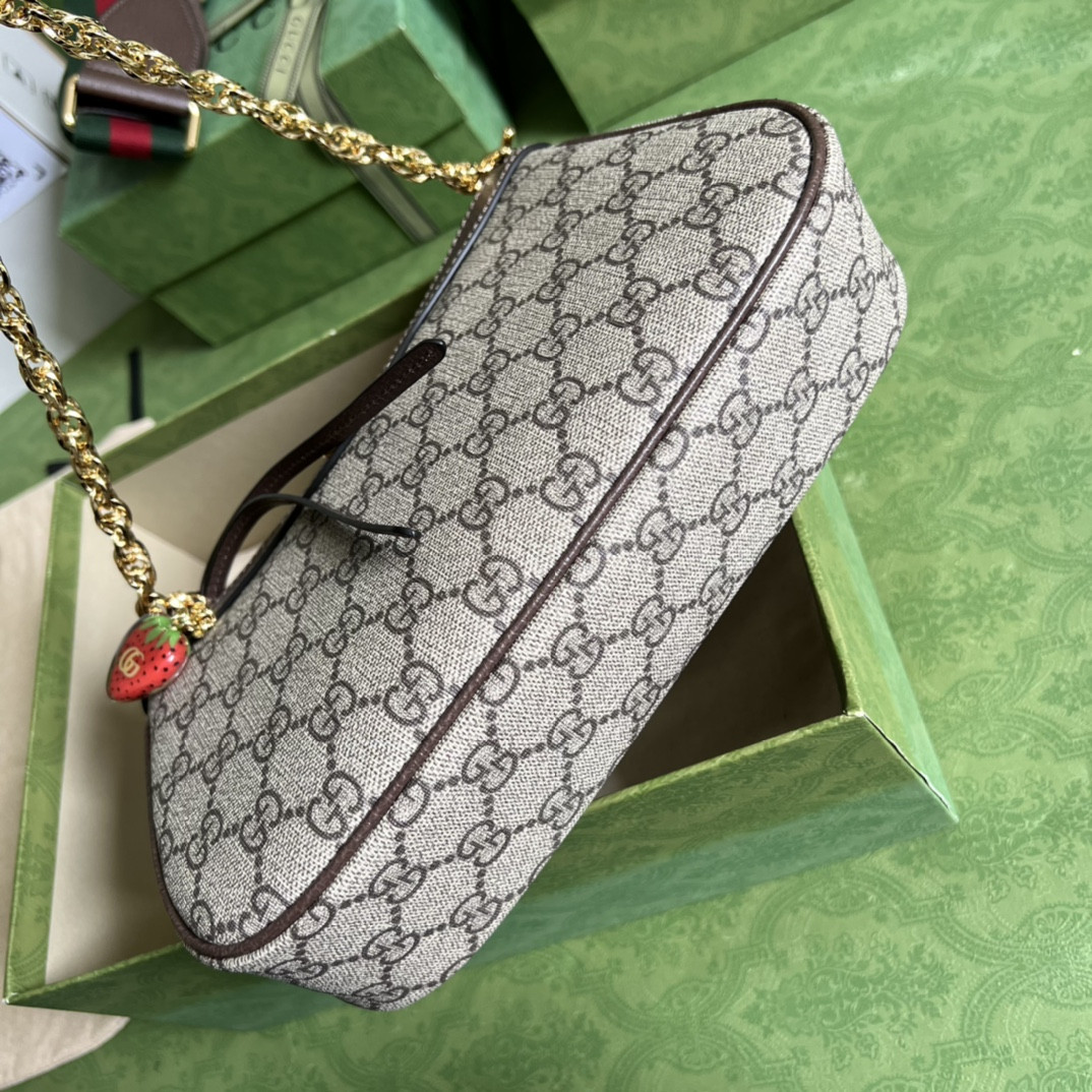 Gucci Ophidia Bag