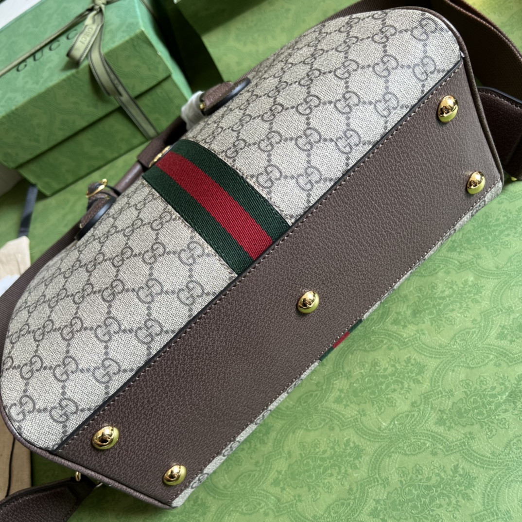 Gucci Ophidia Bag
