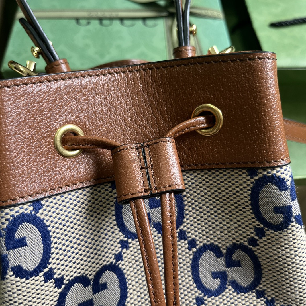 Gucci Ophidia Bag