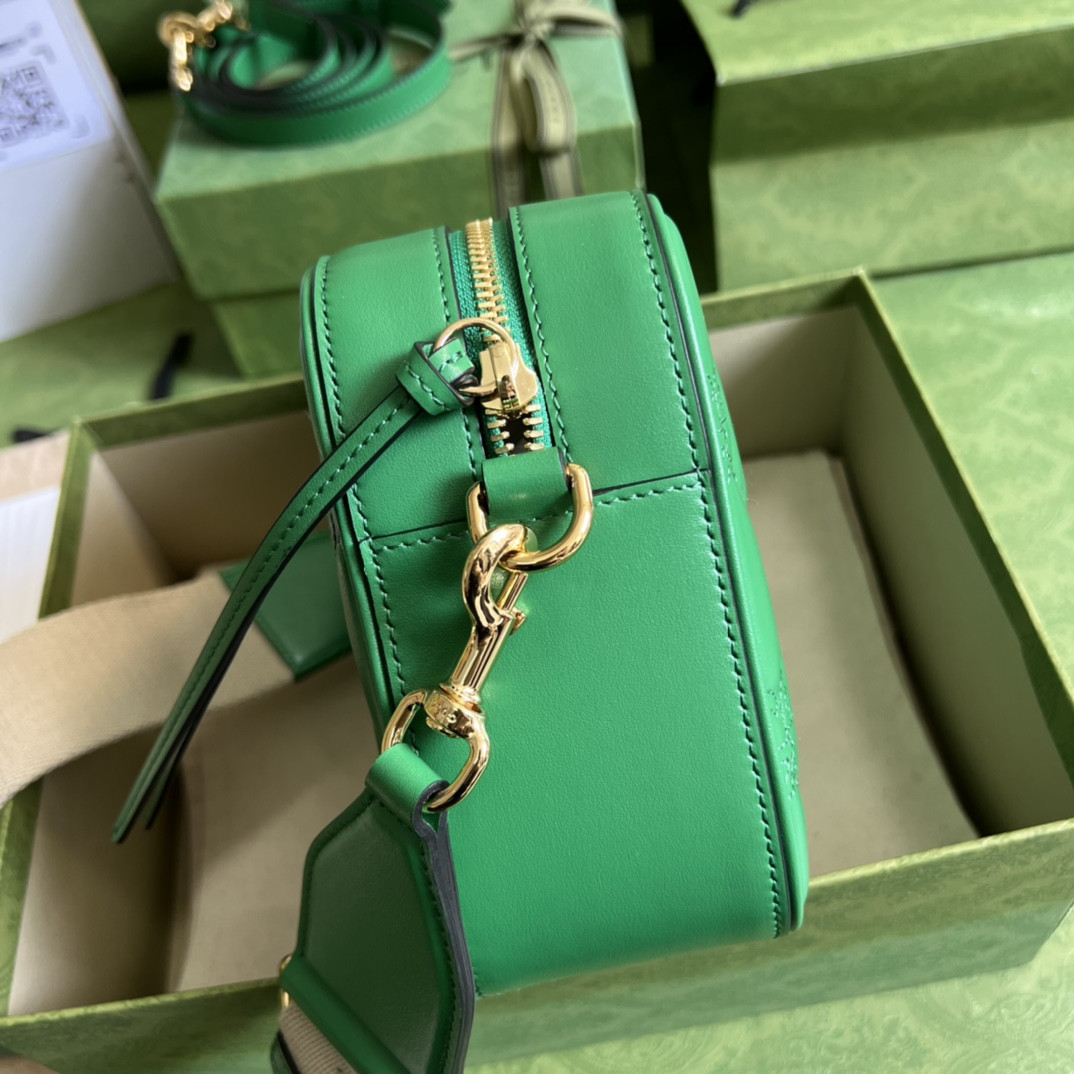 Gucci Ophidia Bag